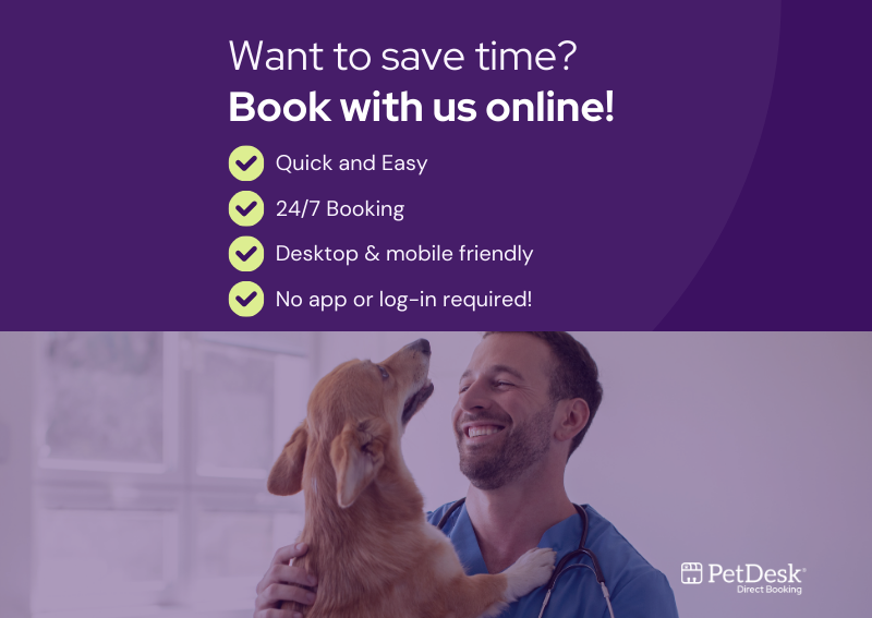 Carousel Slide 3: Online Booking Dog