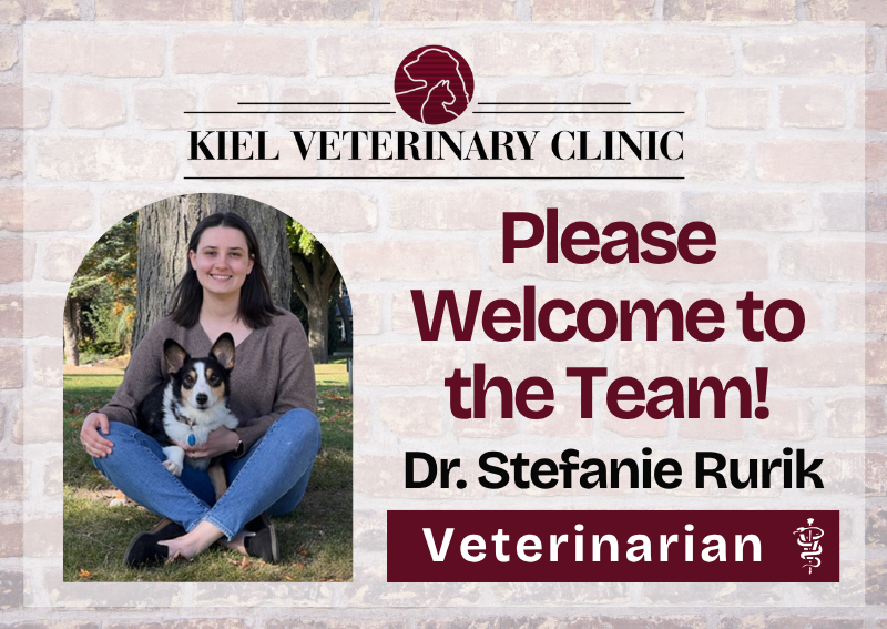 Carousel Slide 2: Please welcome Dr. Rurik!